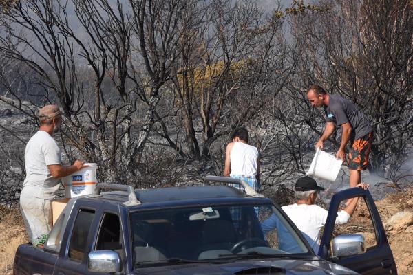 İzmir'de piknikçi ateşi ormanı yaktı