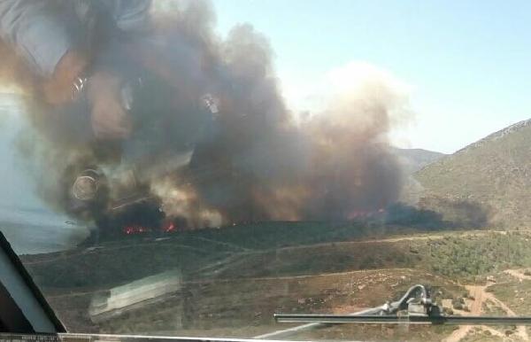 İzmir'de piknikçi ateşi ormanı yaktı
