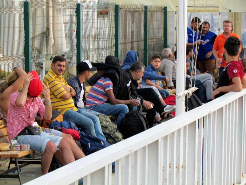İzmir'in iki ilçesinde 347 sığınmacı yakalandı
