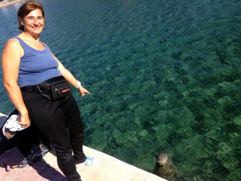 İzmirliler'e Akdeniz foku sürprizi