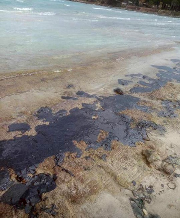 Sızan yakıt, Çeşme kıyılarını vurdu