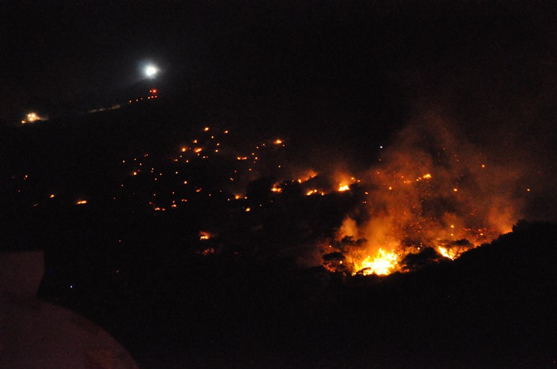 Karşıyaka'da orman yangını