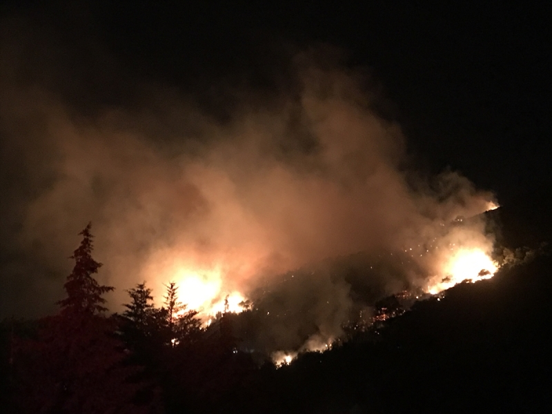 Karşıyaka'da orman yangını