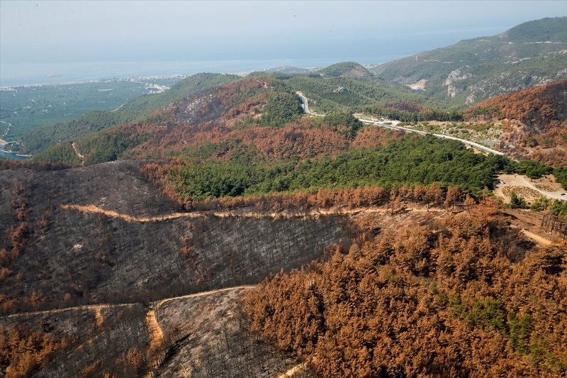 Bayındır'da yanan ormanlık alan böyle görüntülendi