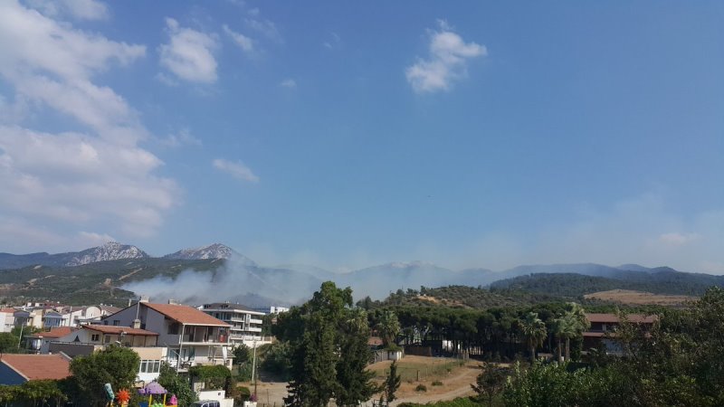 İzmir'de korkutan yangın...