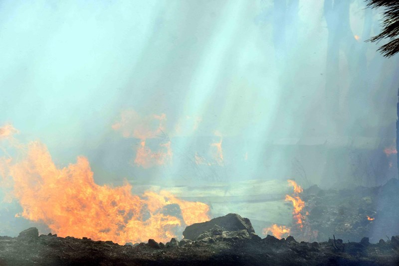 Muğla'da yangın faciası