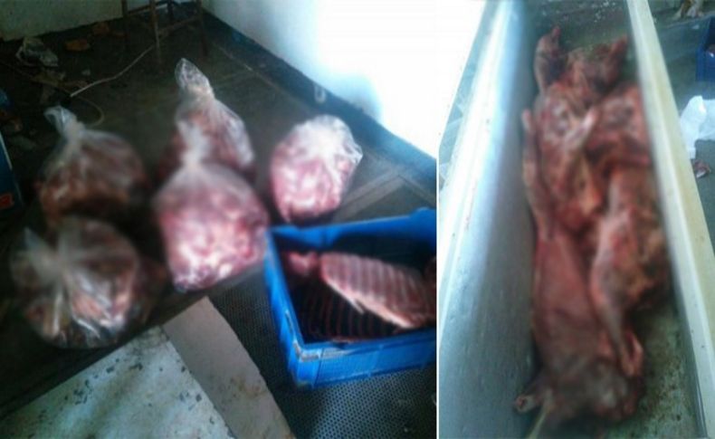 Aydın'da kaçak domuz eti ele geçirildi