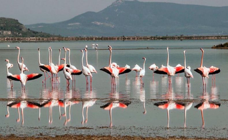 Bakanlıktan İzmir Kuş Cenneti açıklaması