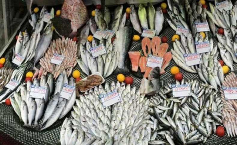 Balık fiyatları yüzde 200 arttı