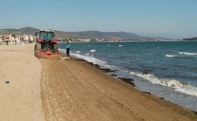 Belediye işçileri sahilleri temizledi