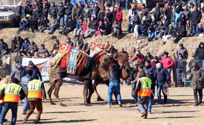 Bergama deve güreşlerinin 6 bin kişi izledi