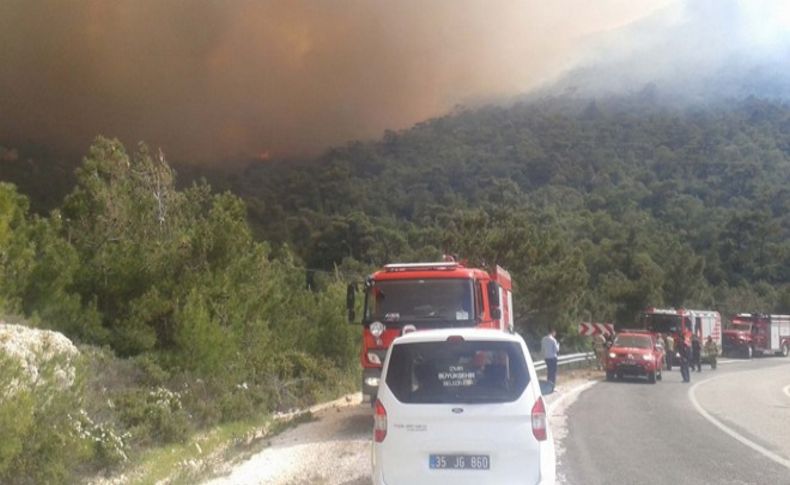 Foça'daki yangında 80 hektar orman yandı