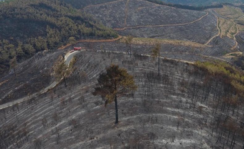 İzmir Barosu yanan ormanlık alan için kampanya başlattı