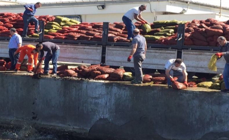 İzmir’de 24 ton kaçak midyeye el konuldu