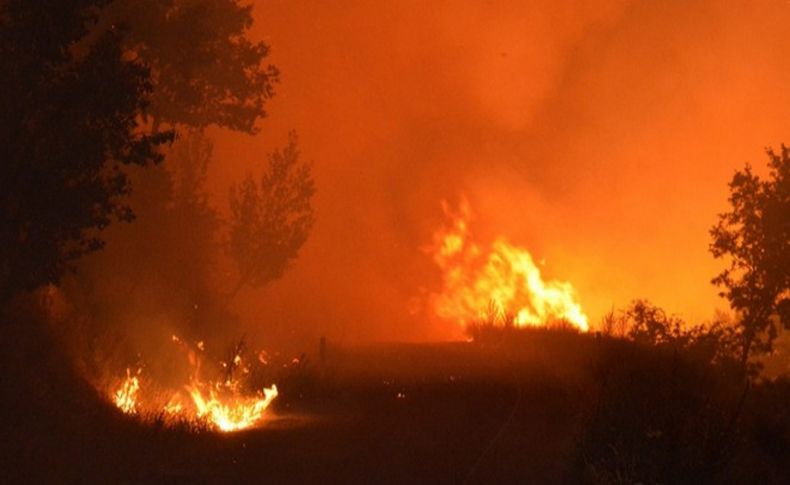 İzmir’de orman yangını: Saatlerdir devam ediyor