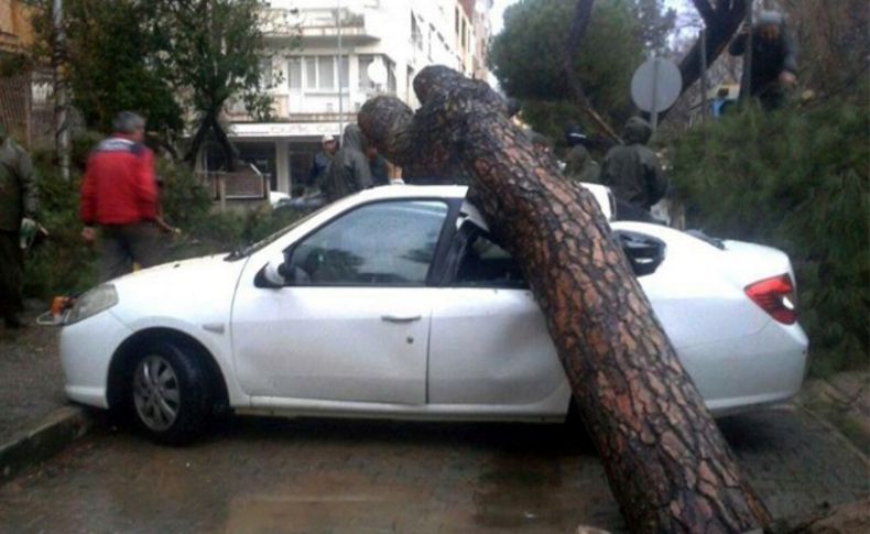 İzmir'de park halindeki otomobilin üzerine ağaç devrildi