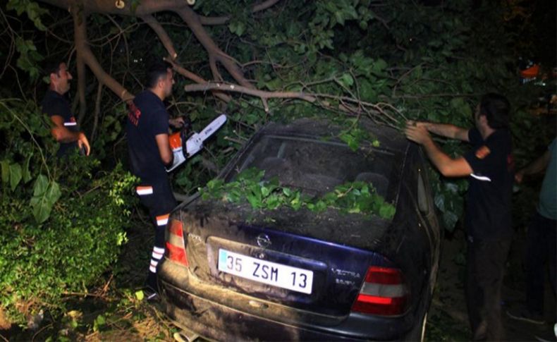 İzmir'de rüzgar otomobilin üzerine ağaç devirdi