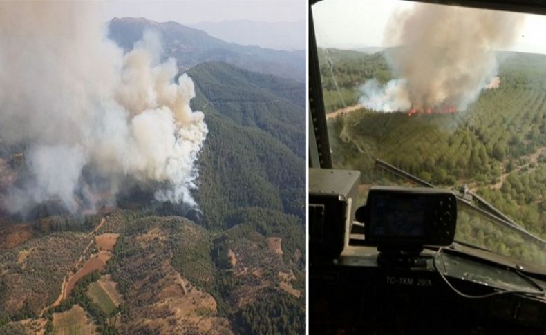 İzmir'in üç ilçesinde orman yangını