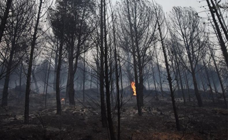 Karşıyaka'da yangın 7 hektarlık alanı kül etti