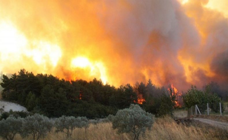 Orman Bölge Müdürlüğü'nden yangın raporu