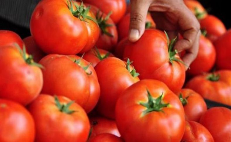 Rusya'dan çok önemli domates açıklaması