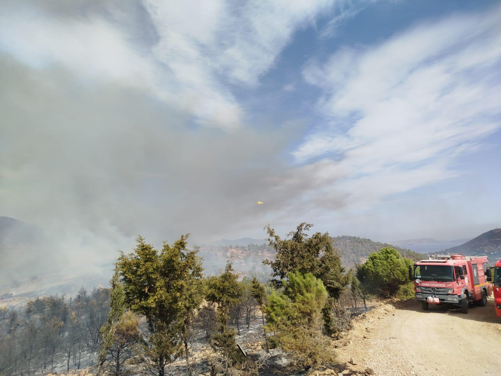 Foça'da orman yangını