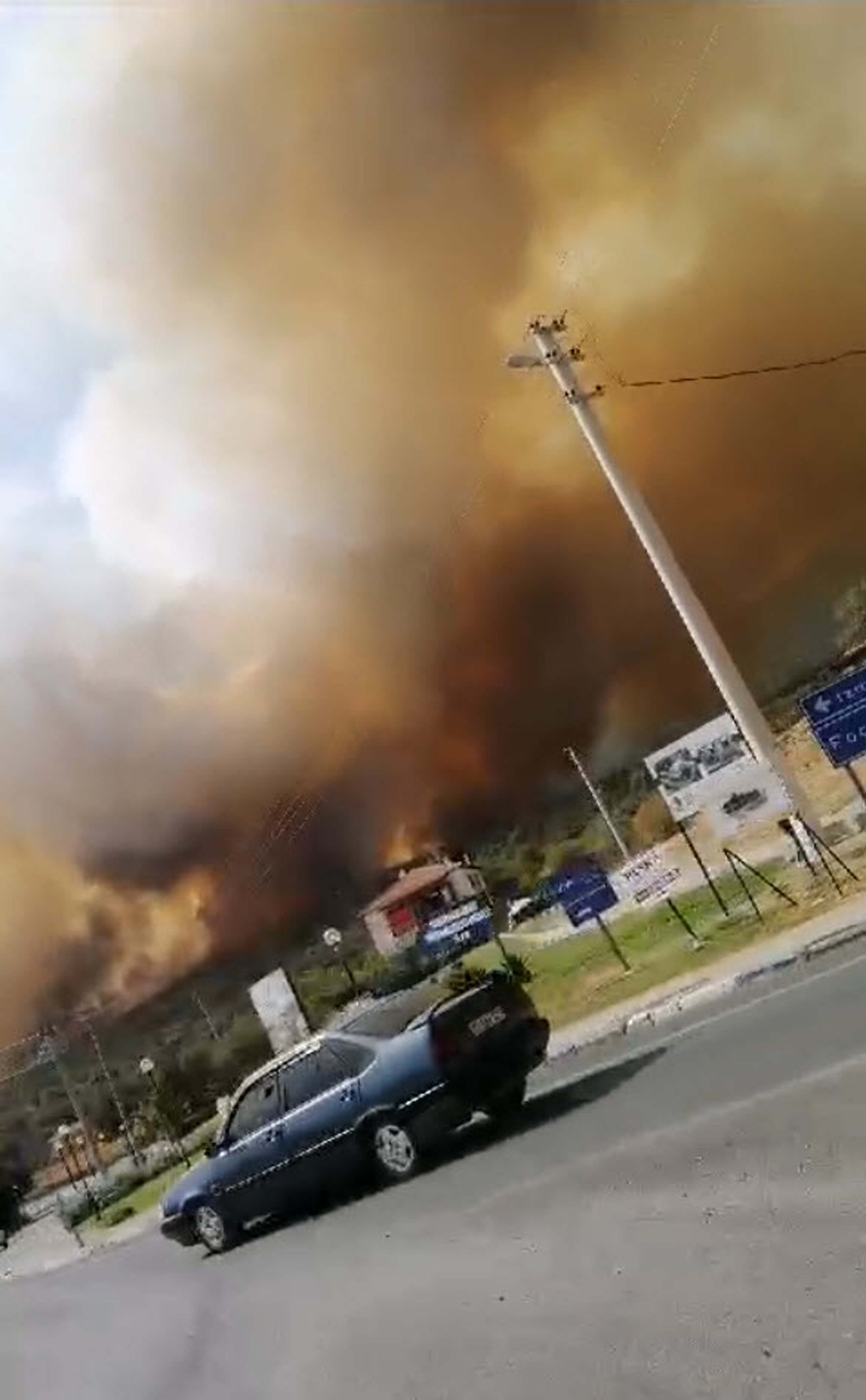 Foça'da orman yangını