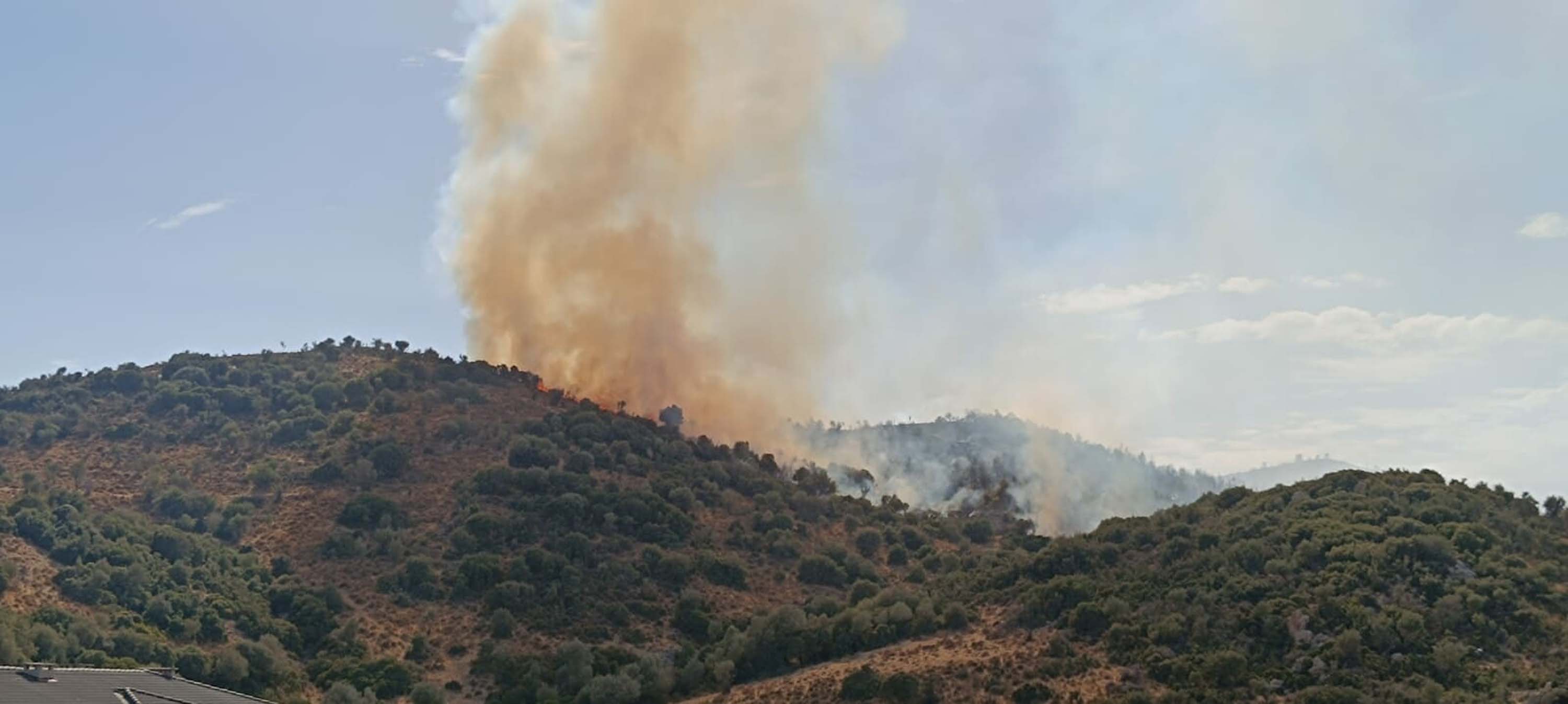 Foça'da orman yangını