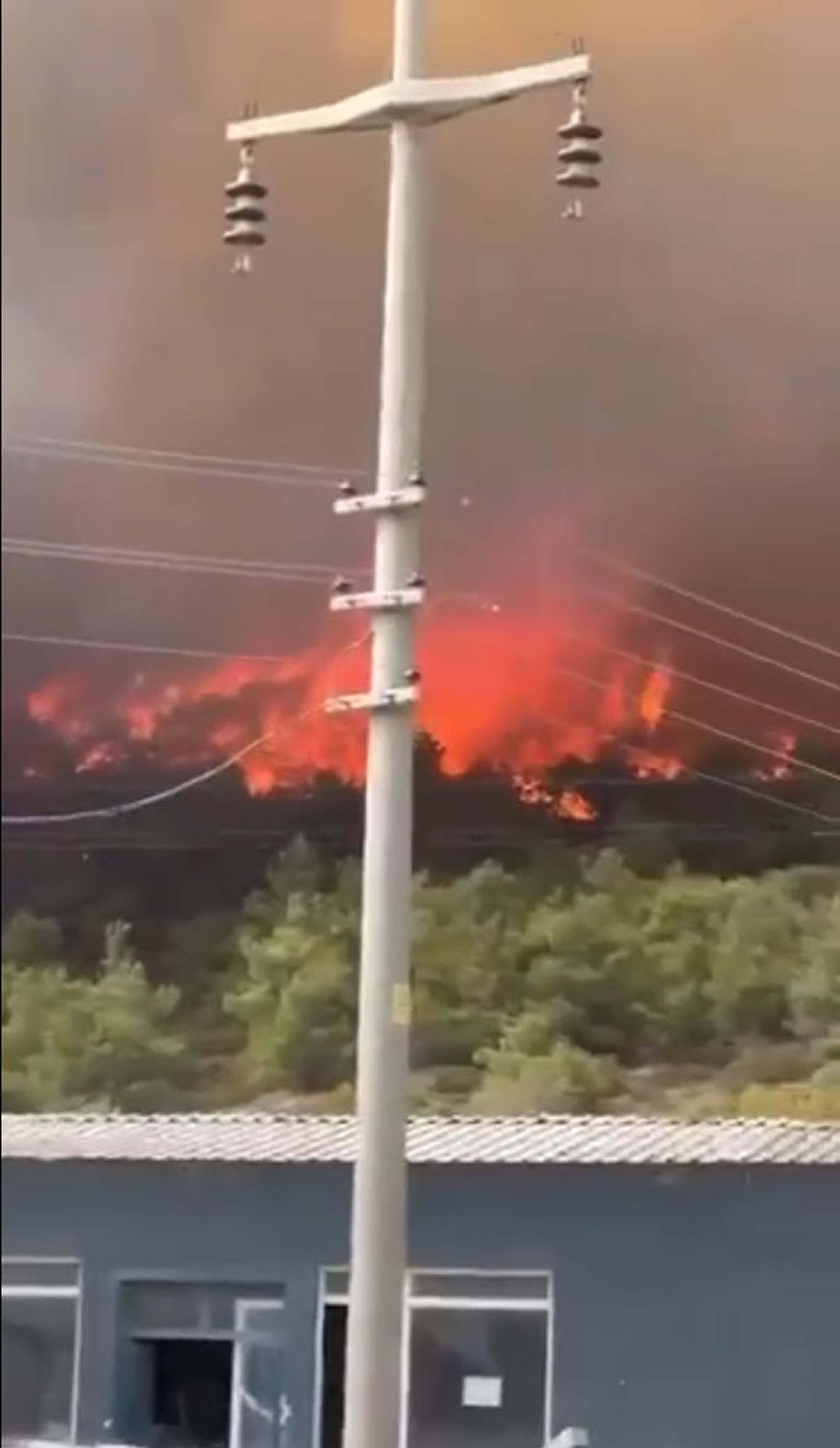 Foça'da orman yangını