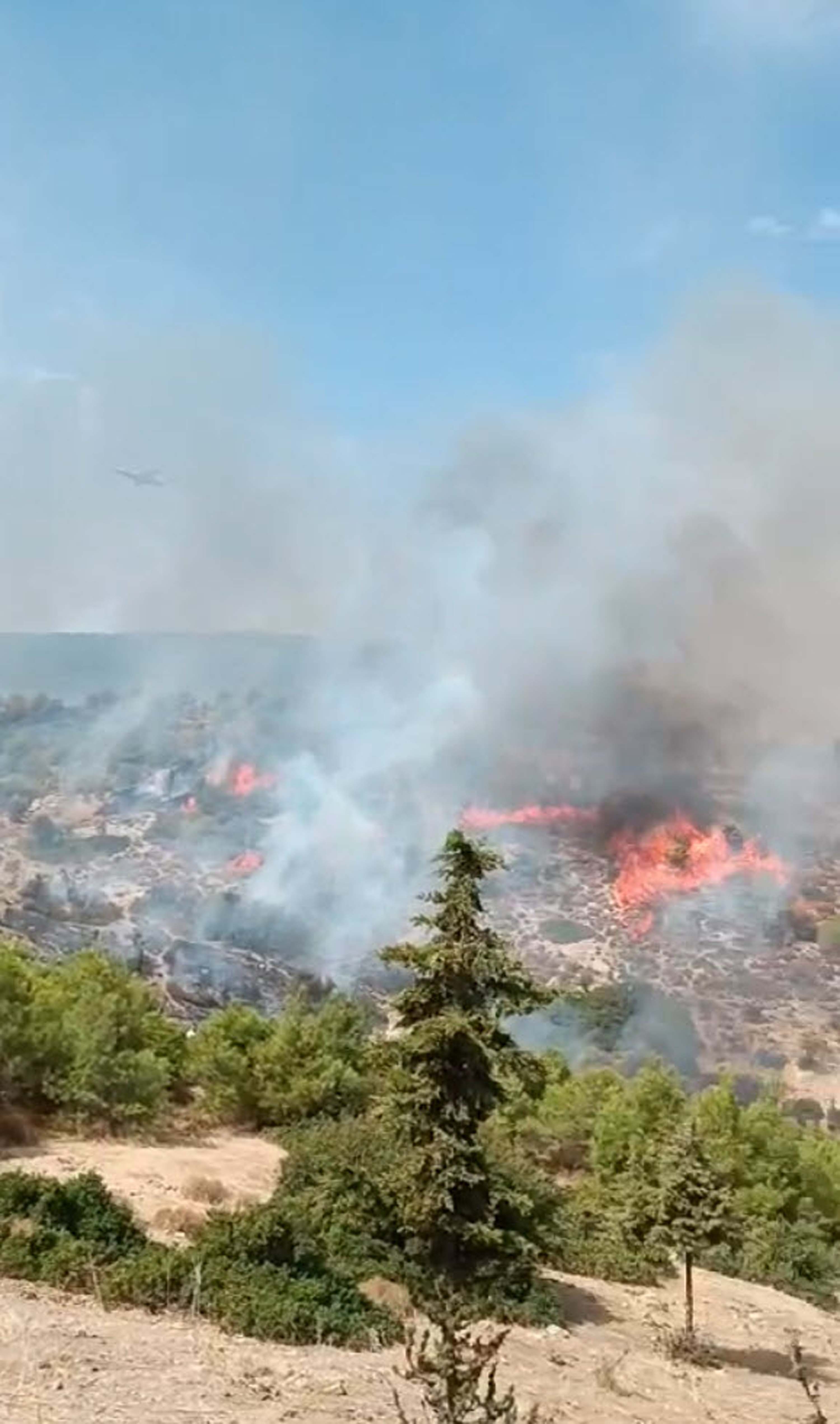 Foça'da orman yangını