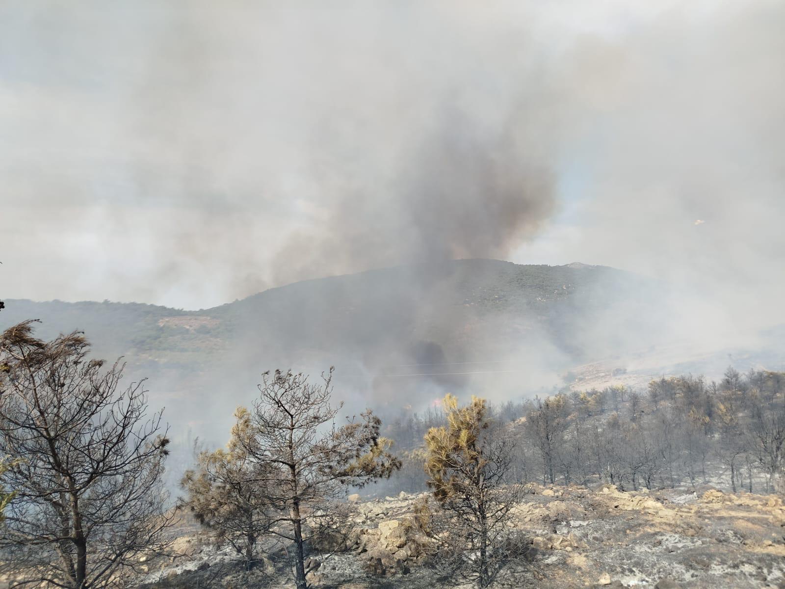 Foça'da orman yangını