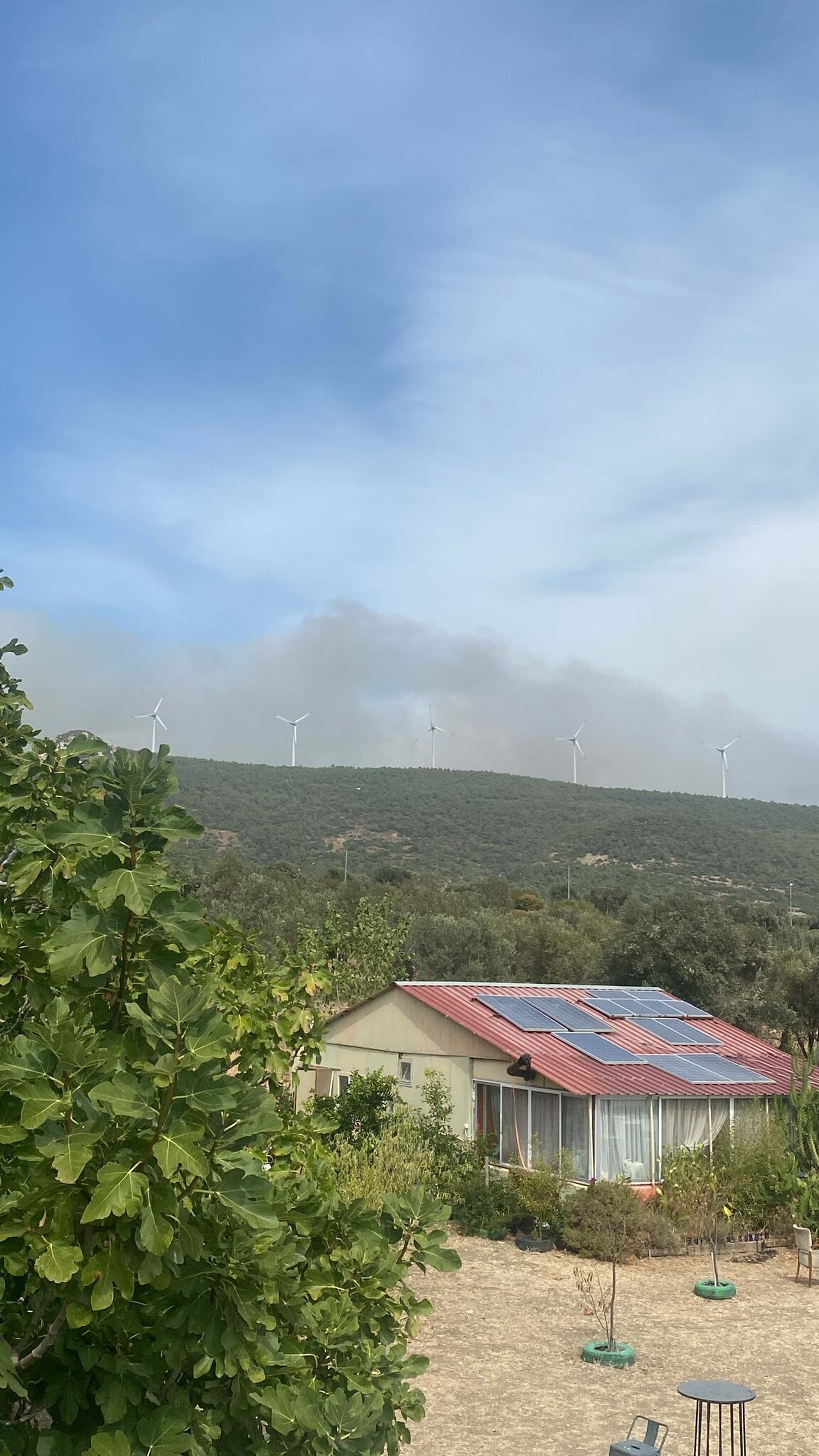 Foça'da orman yangını