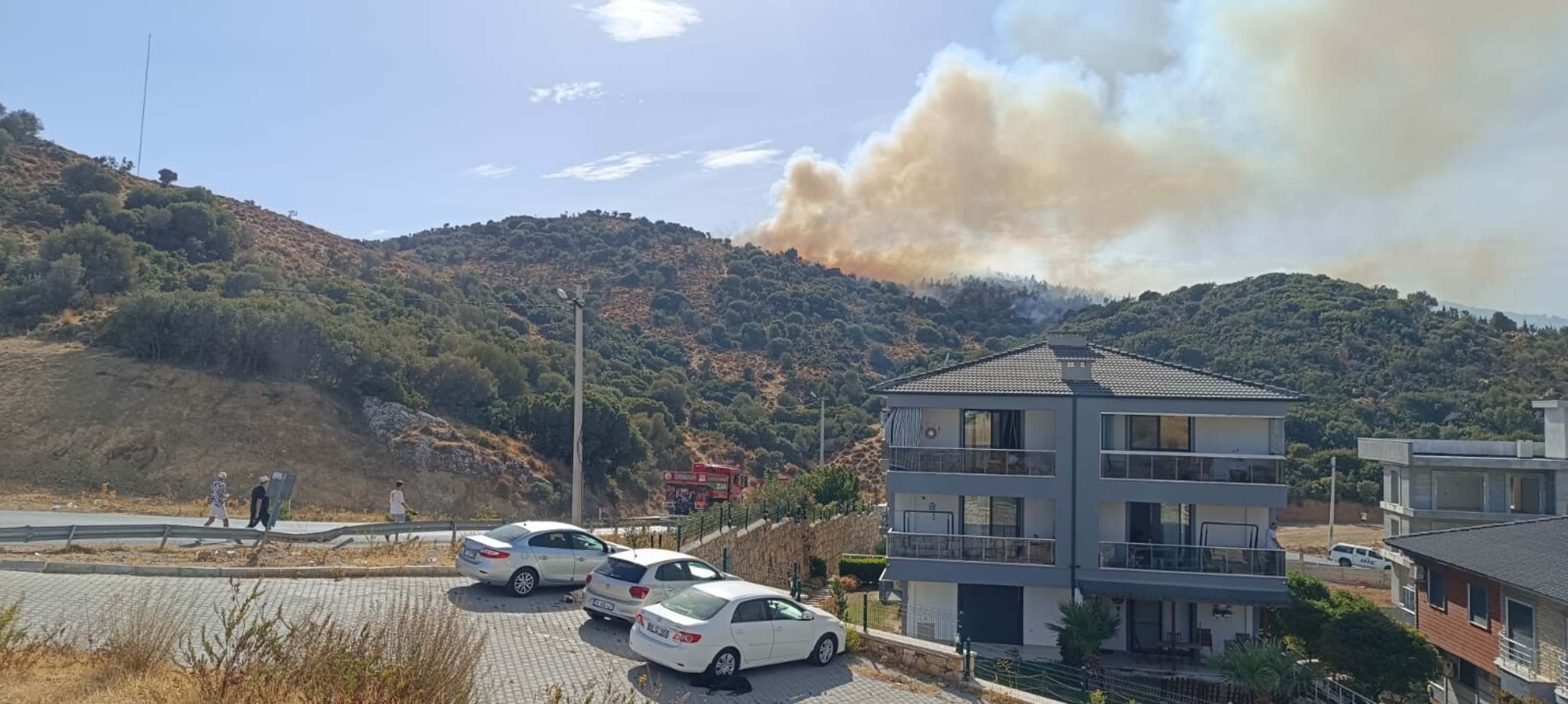 Foça'da orman yangını