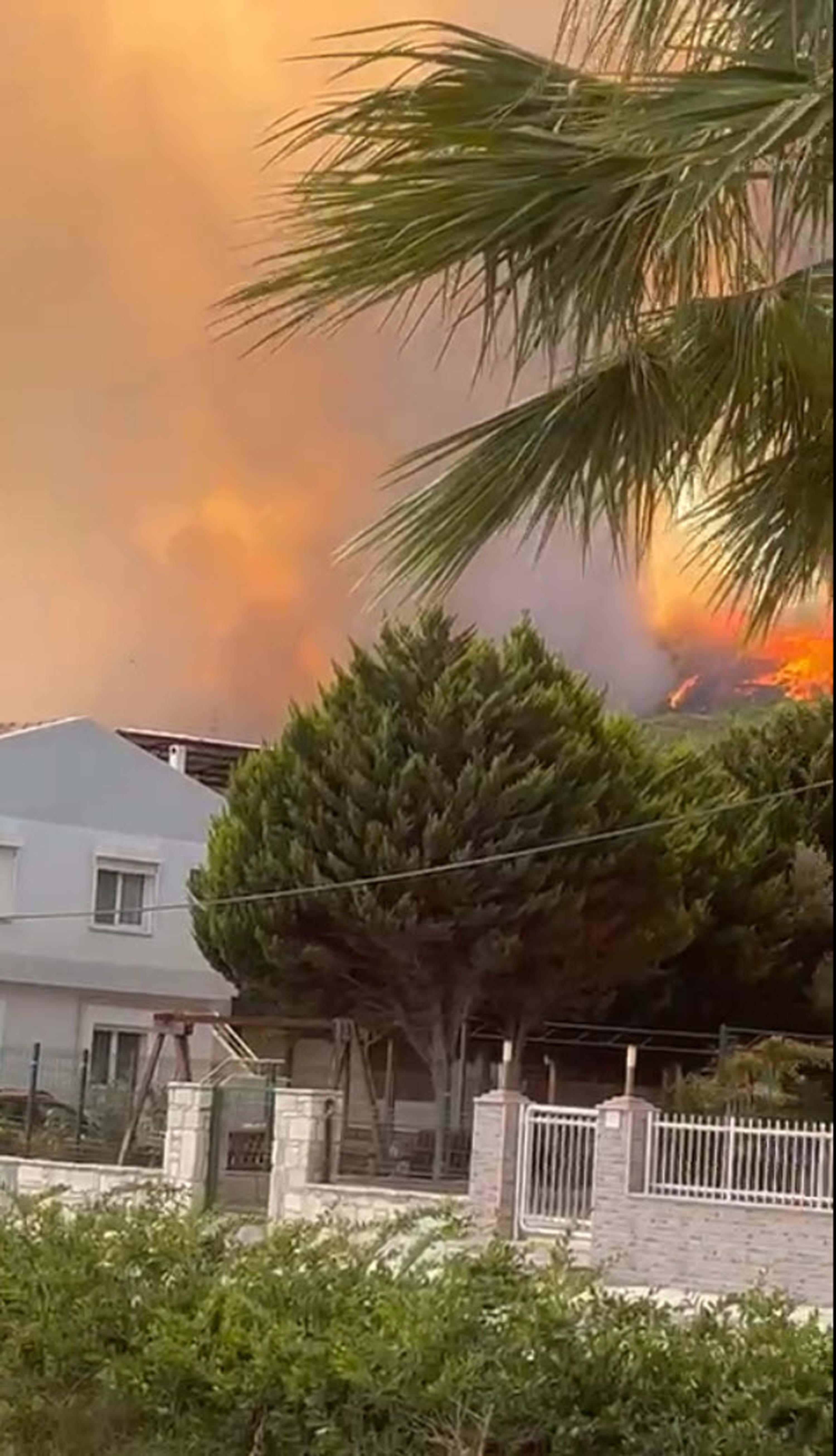 Foça'da orman yangını