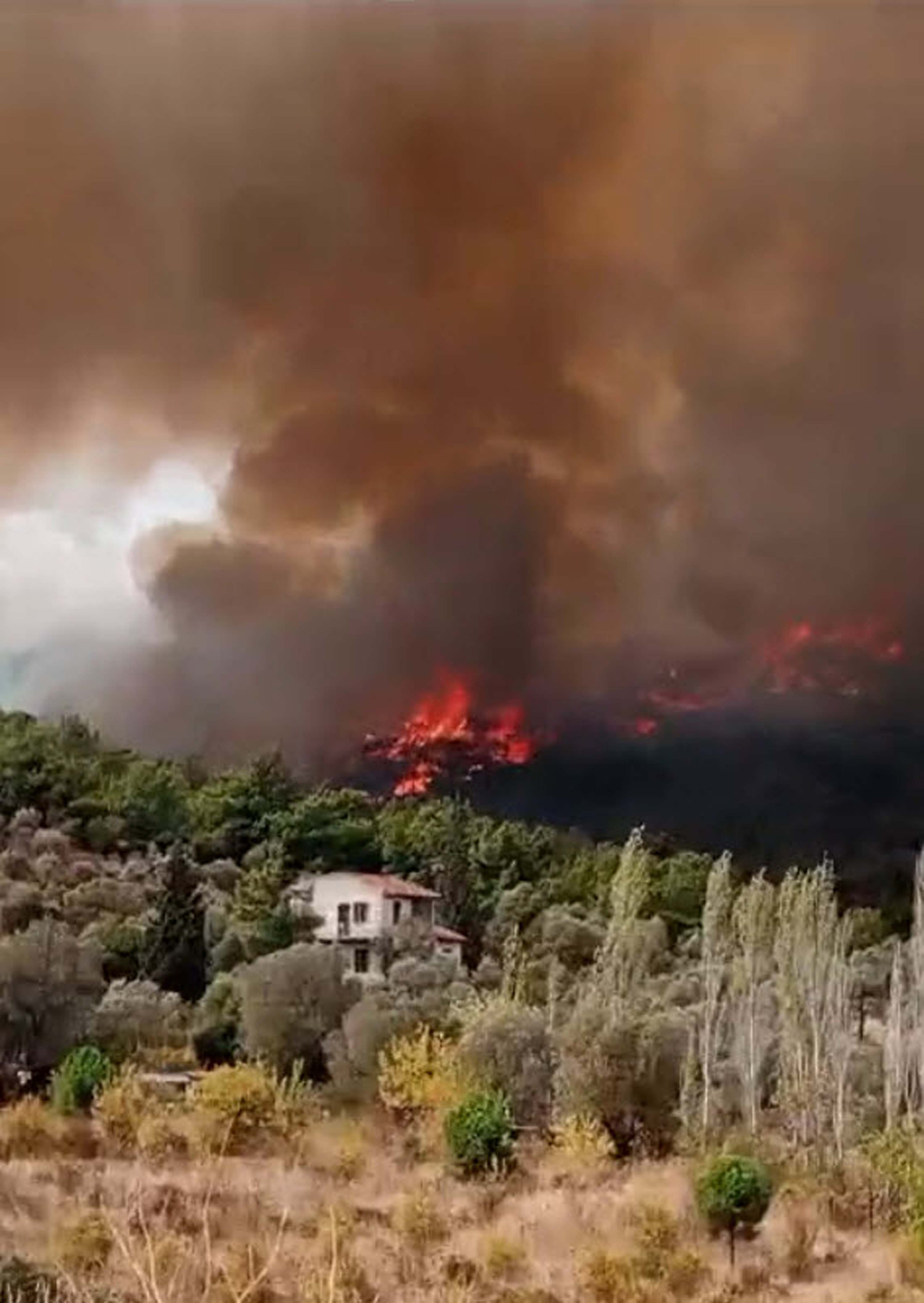 Foça'da orman yangını