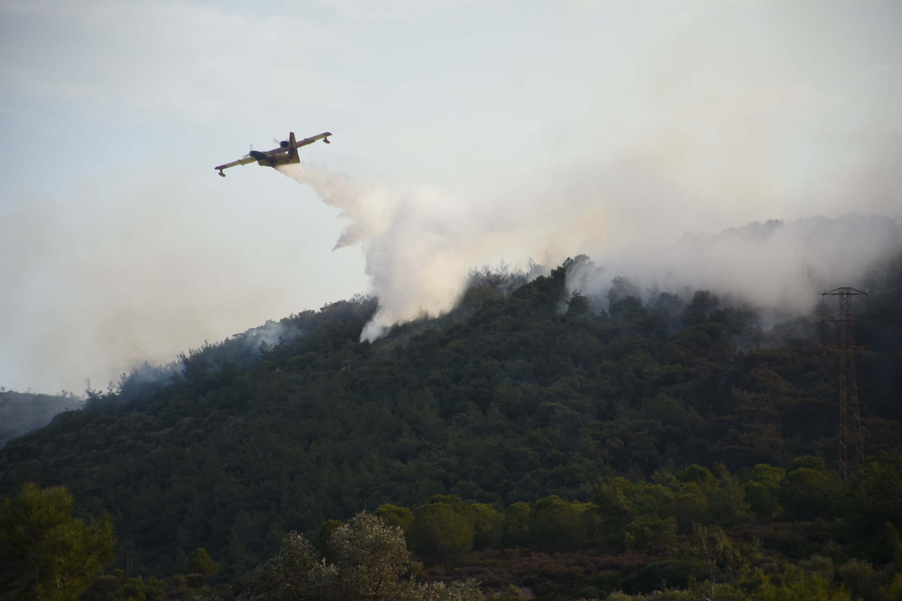 Foça'da orman yangını