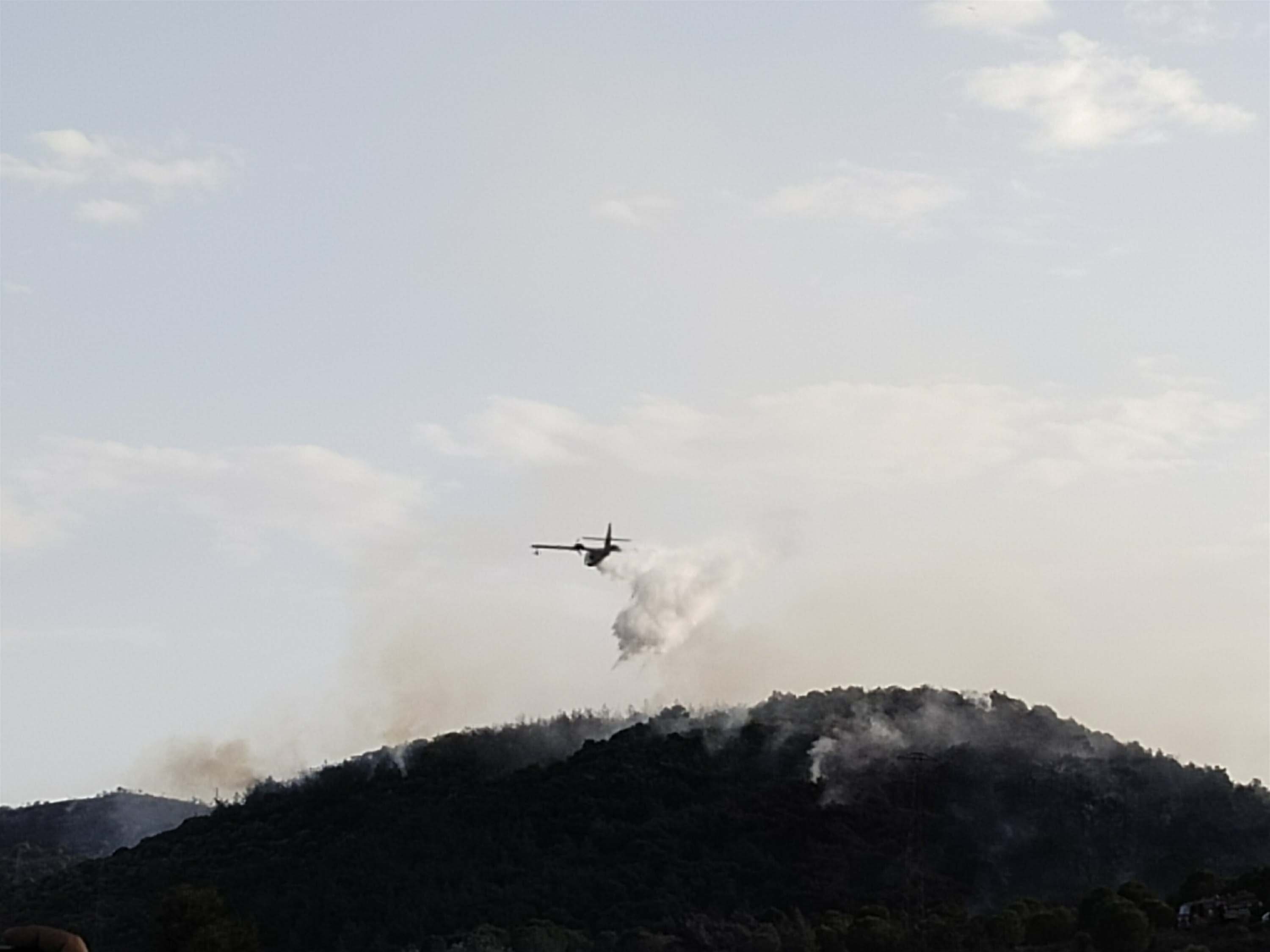 Foça'da orman yangını