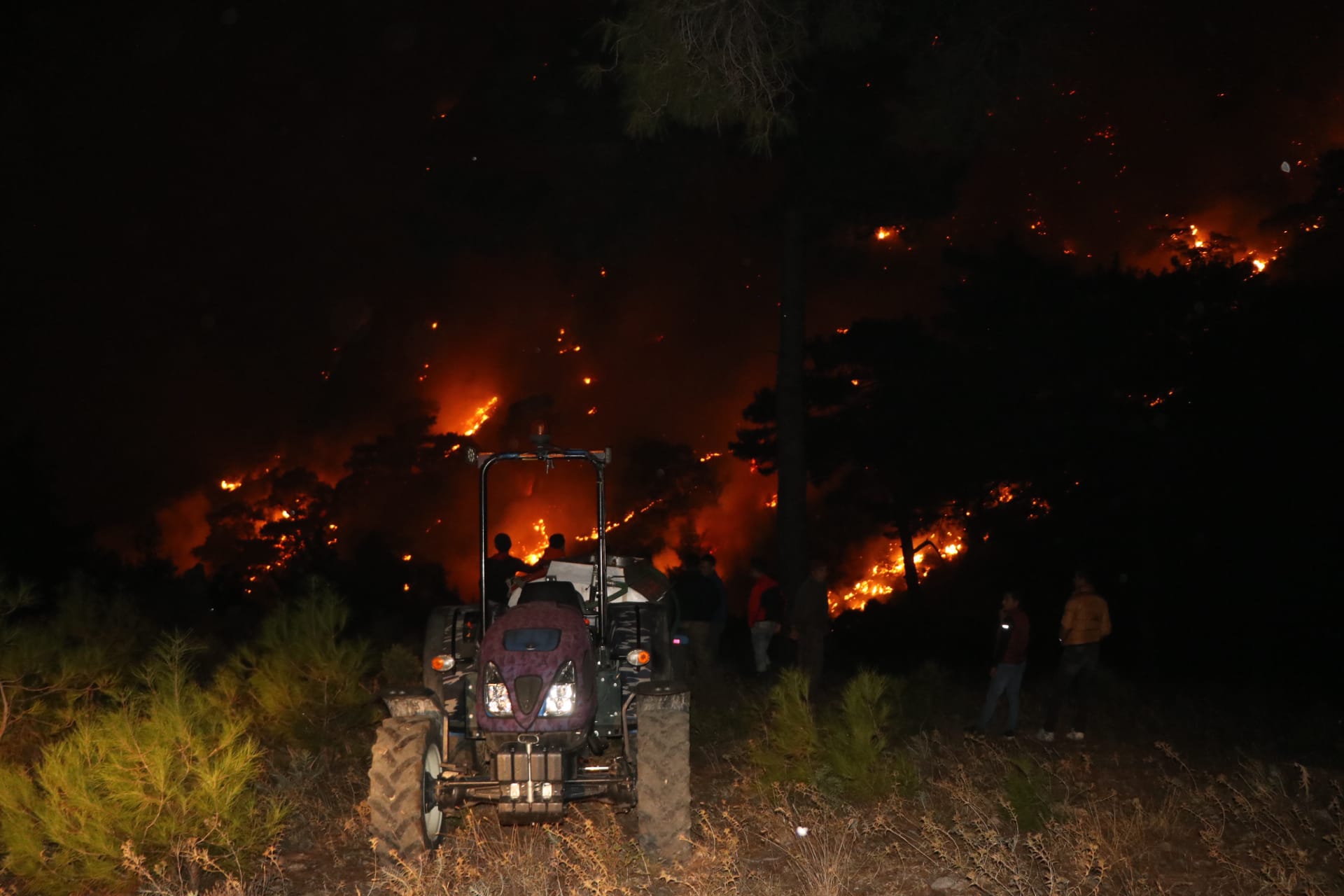 Muğla alevlere teslim oldu