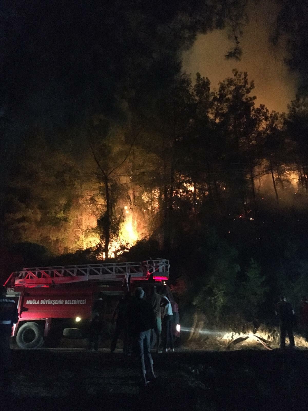 Muğla alevlere teslim oldu