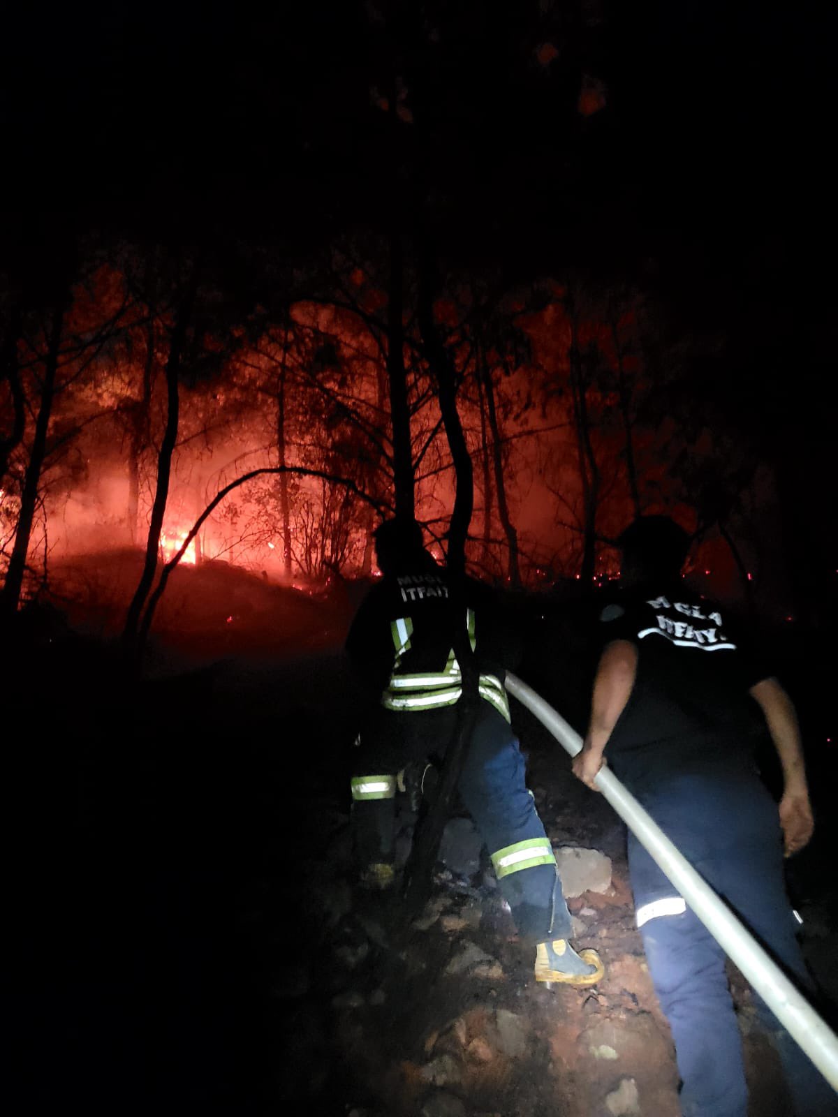 Muğla alevlere teslim oldu