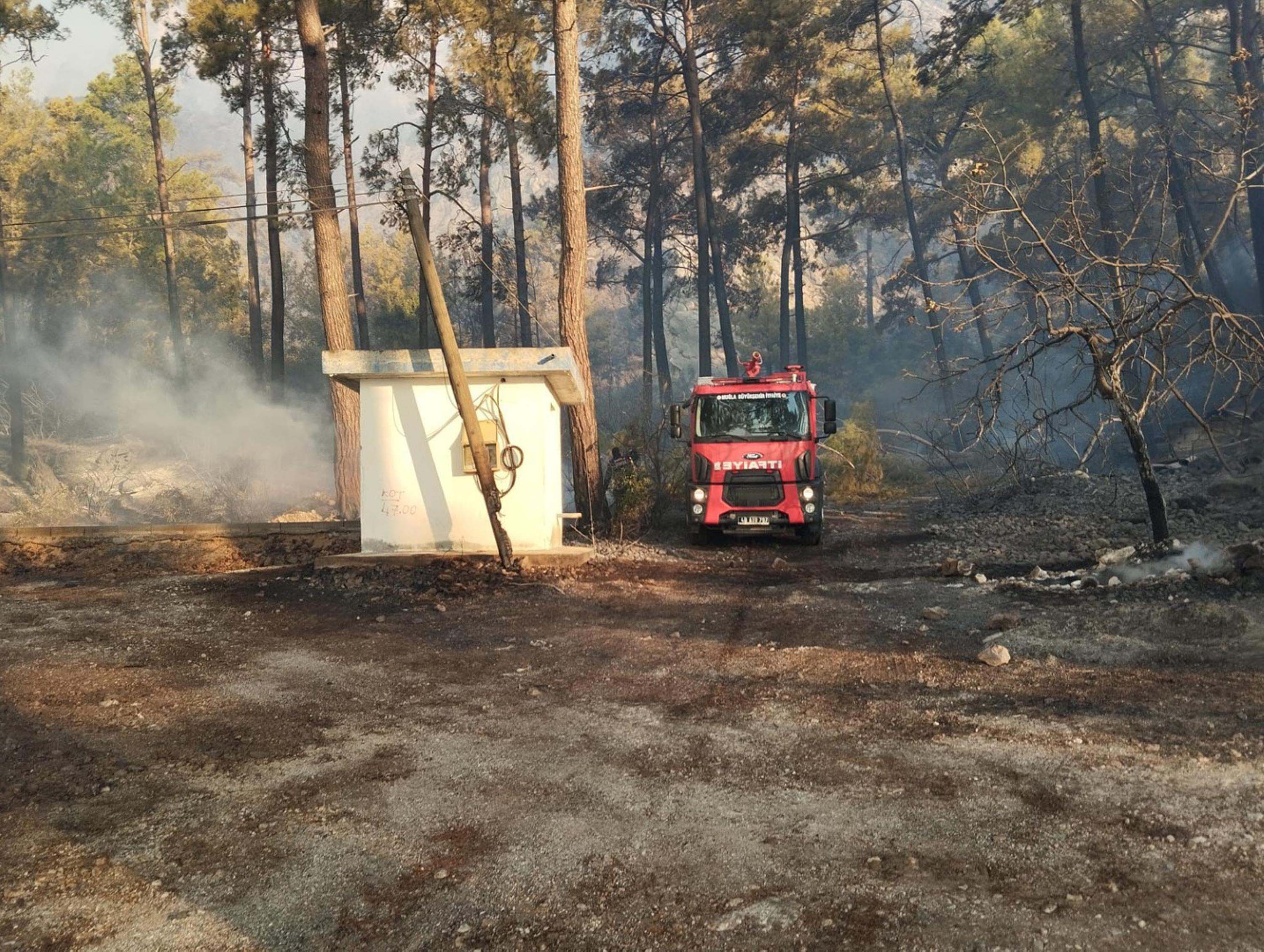 Muğla alevlere teslim oldu