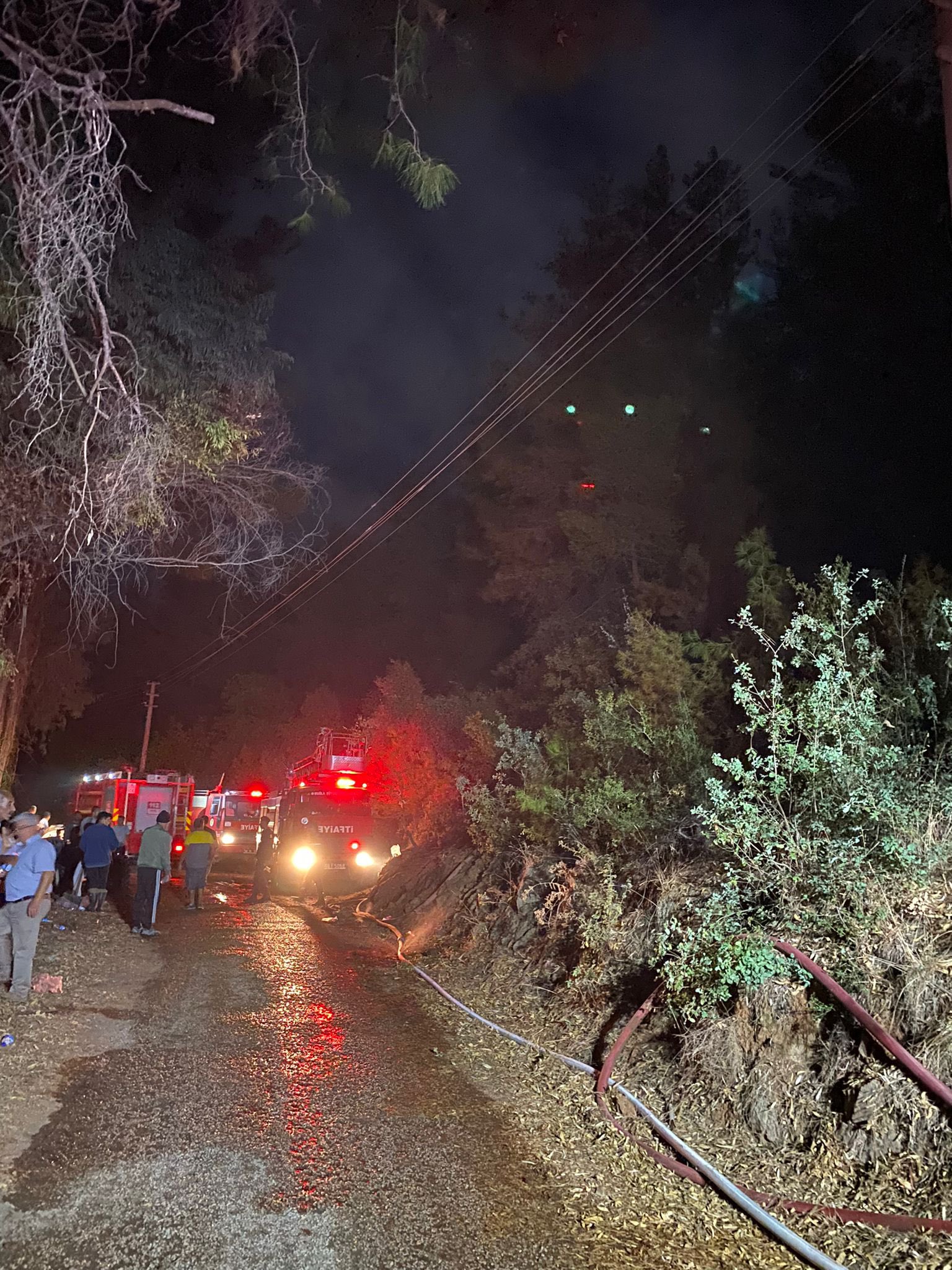 Muğla alevlere teslim oldu