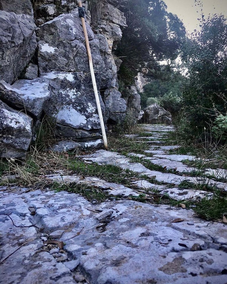 İzmir Valisi Süleyman Elban, Efeler Yolu Projesi'nin 9'uncu etabında yürüdü