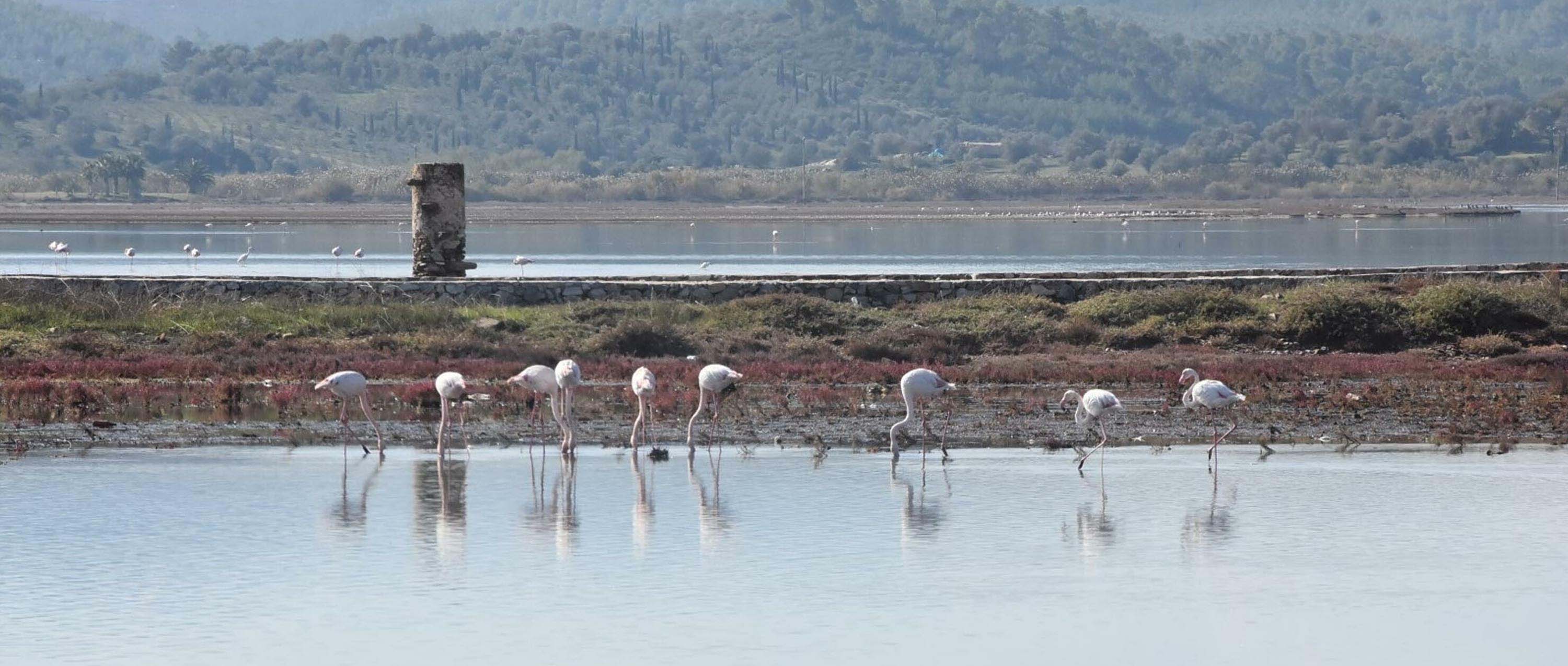 Flamingolara ev sahipliği yapan Tuzla Sulak Alanı'nda moloz yığınları