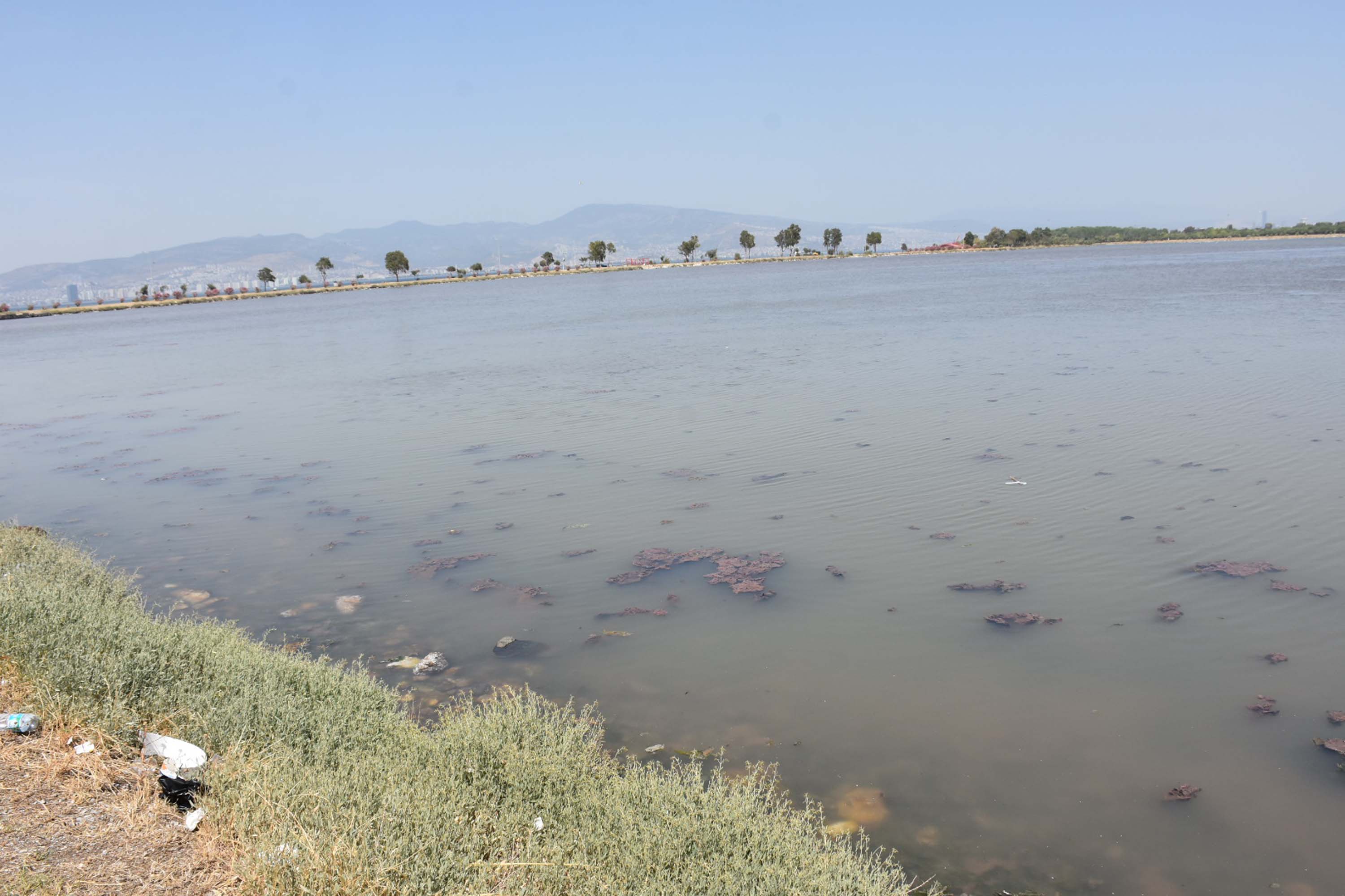 İzmir'de denizin rengi değişti