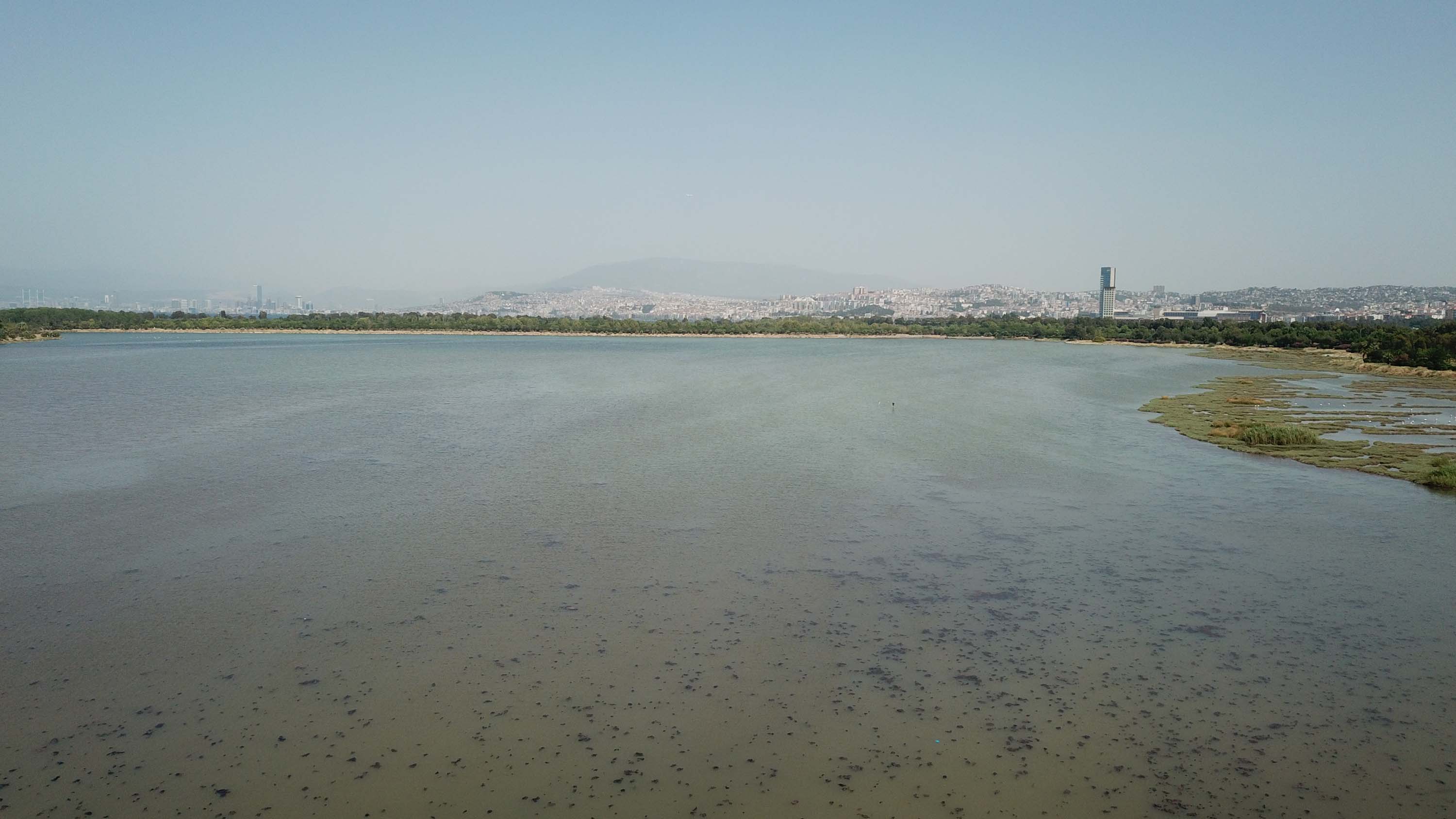 İzmir'de denizin rengi değişti