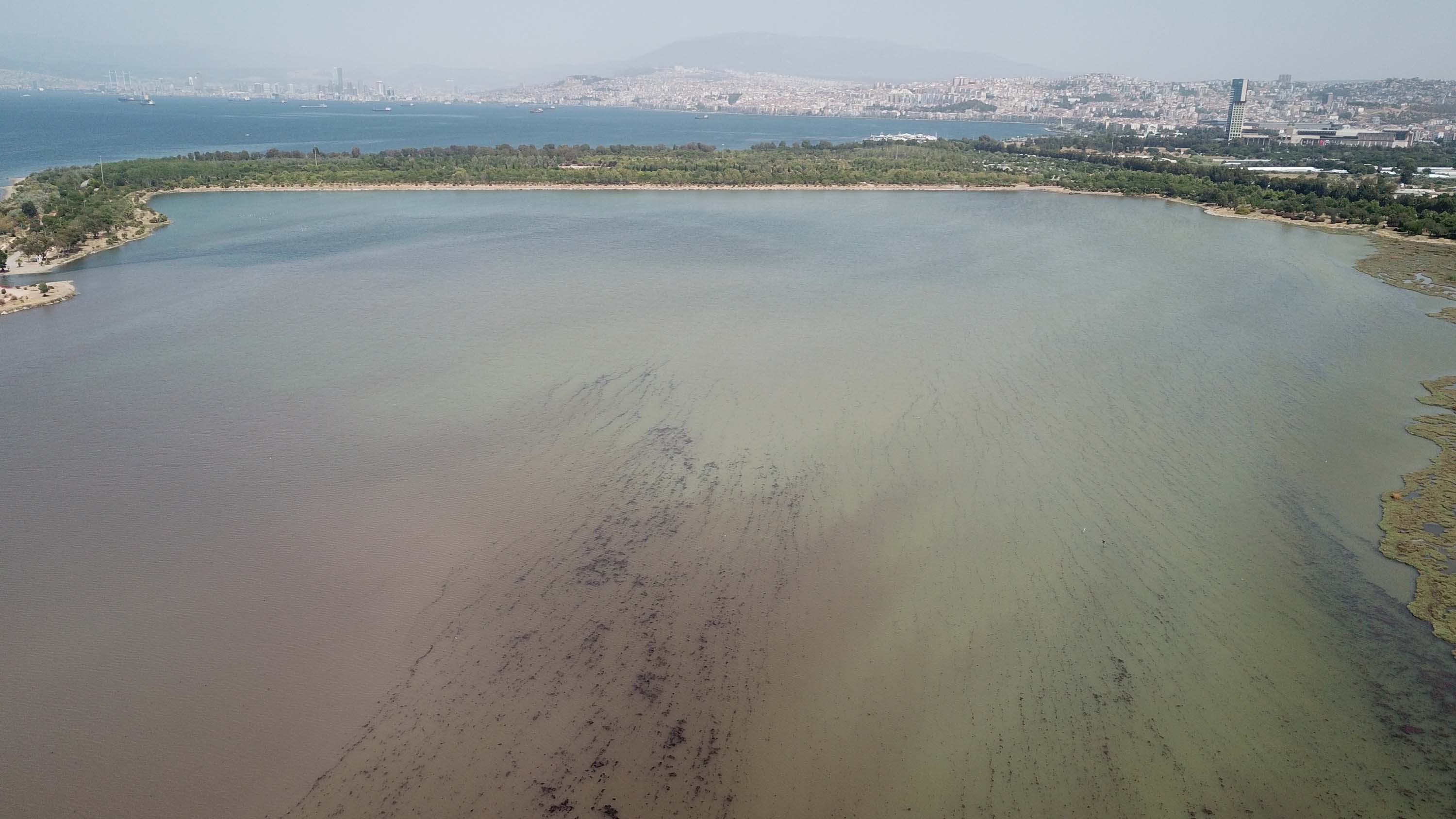 İzmir'de denizin rengi değişti