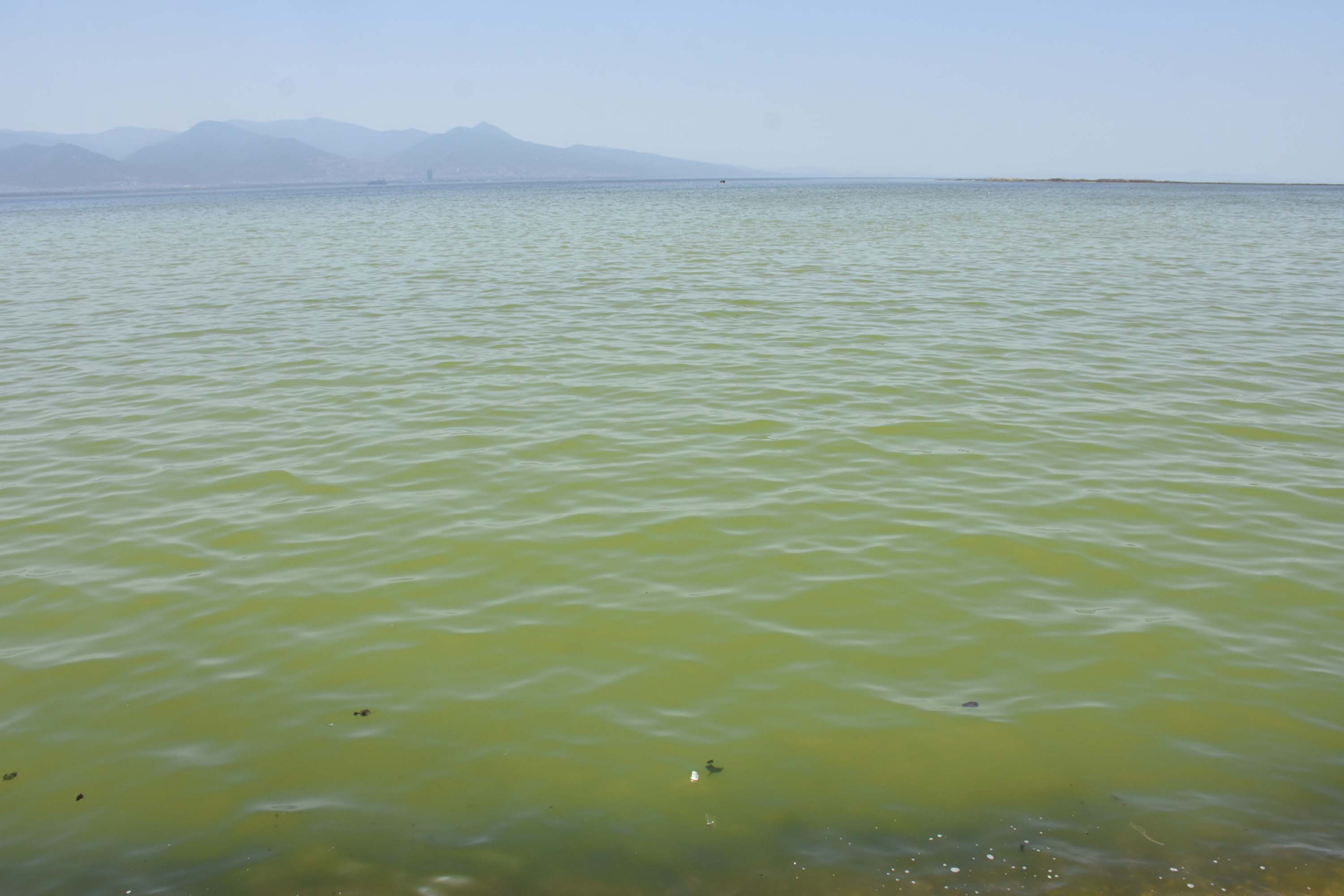 İzmir'de denizin rengi değişti