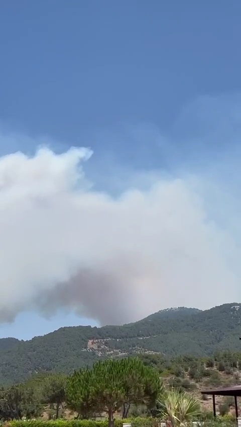 İzmir'de orman yangını