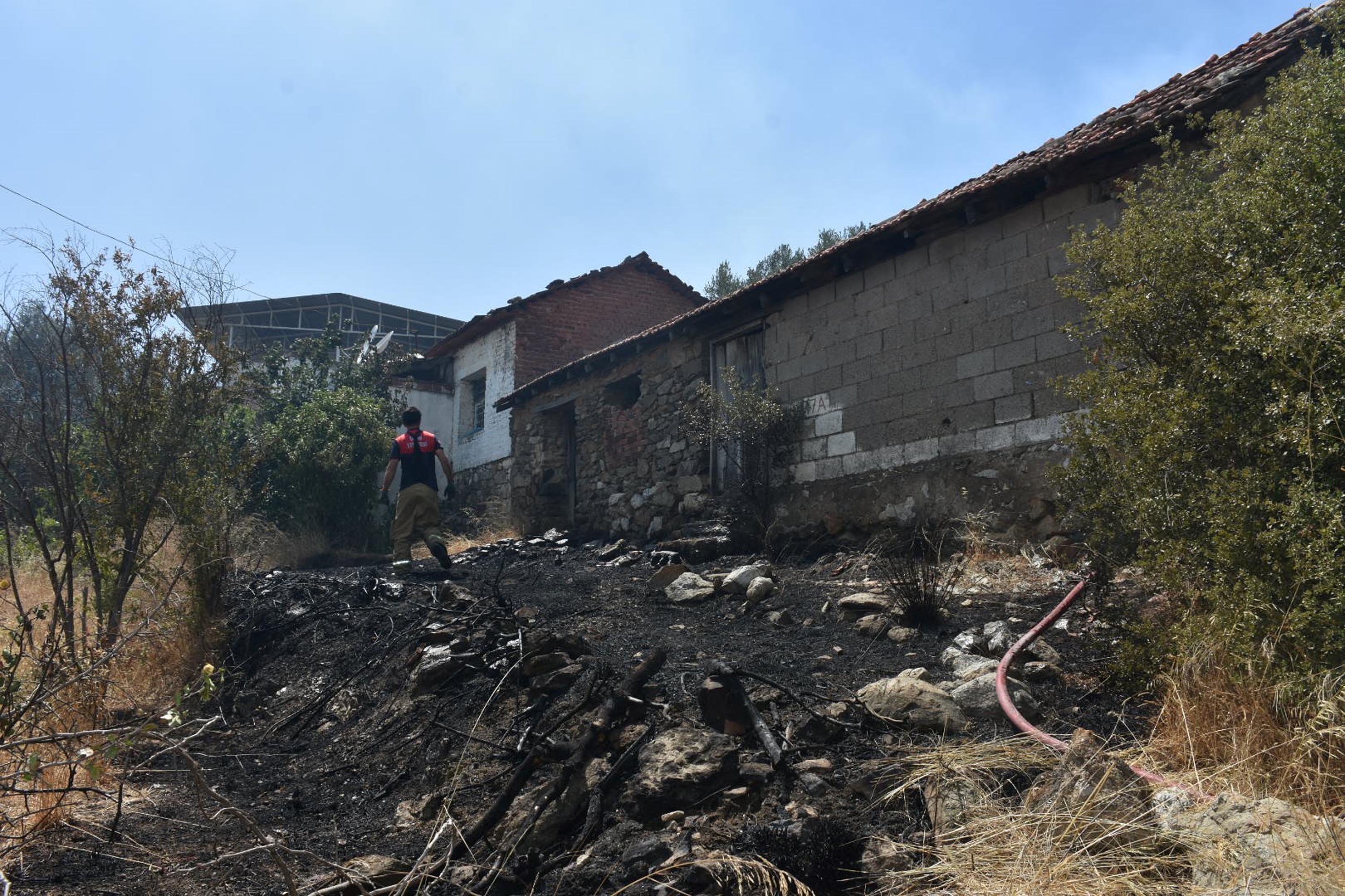 İzmir'de orman yangını